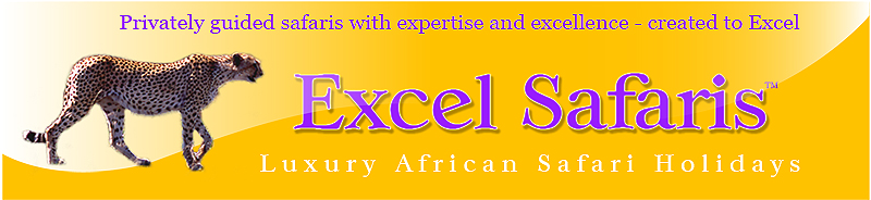 Excel Safaris Logo